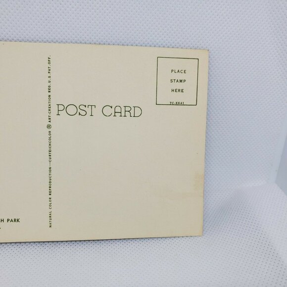 Gulf Stream Card Cockatoos At Hialeah Park Florida Miami Bird Postcard Animal - Picture 10 of 12